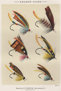 ANTIQUE PRINT OF FISHING FLIES FROM 1892